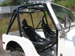 CJ5 Cage with Seat Mounts